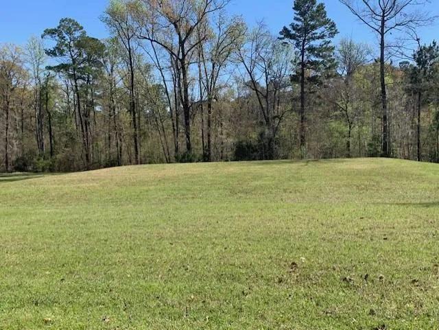 0.41 Acres at 230 Bailey's Bluff Dr