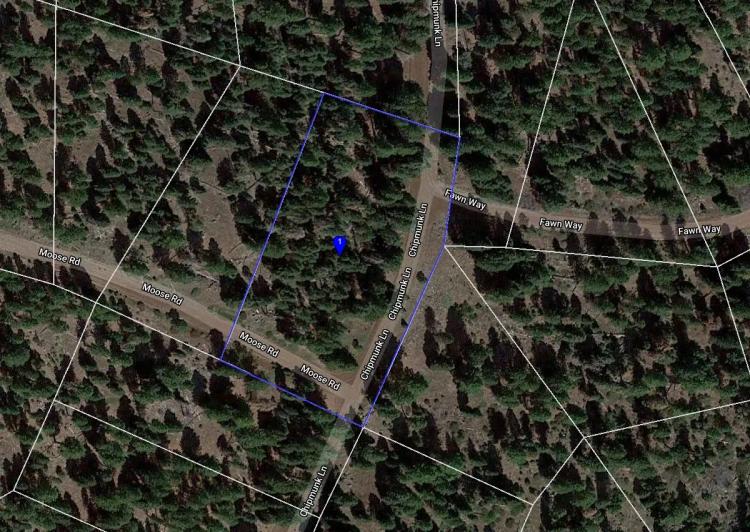 L100205-1 1.46 Acres / Wooded Lot in California Pines, Modoc CA $7,499