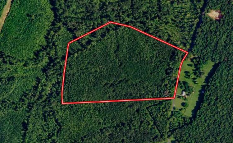 UNDER CONTRACT!!  63.146 acres of Recreational / Residential or Investment Land For Sale in Louisa County VA!