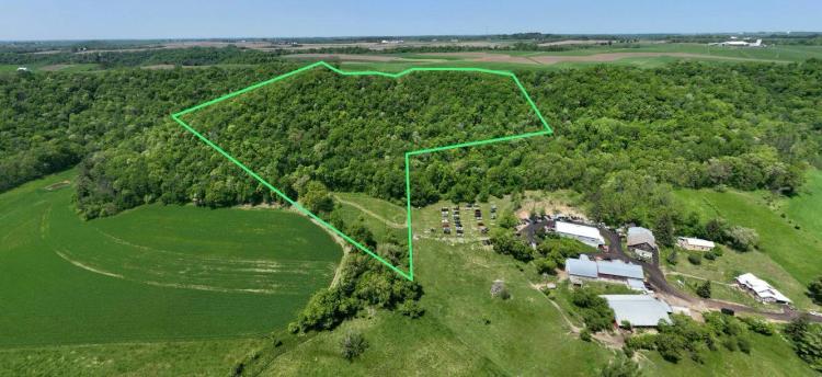 21-Acre Gem of a Property Vernon County WI