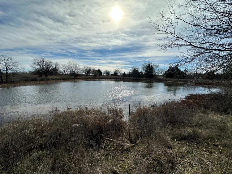 146± Acre Property with Pond, Tillable & Barn for Sale - Bourbon County