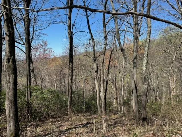 +/- 5.09 Acres – Lot 11 – Hideaway Hill Way – Mountain View
