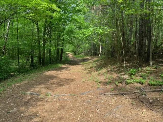 +/- 60.32 Acres On Highland Forest Drive