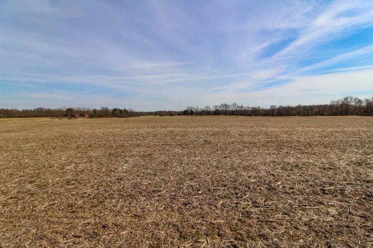 Hayes Rd - 12 acres - Licking County