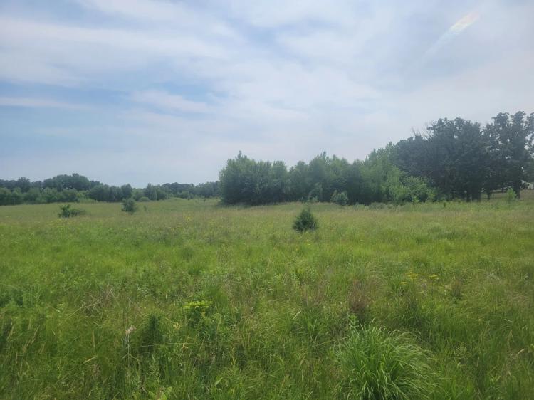 35.25 Acres at TBD 250th Street