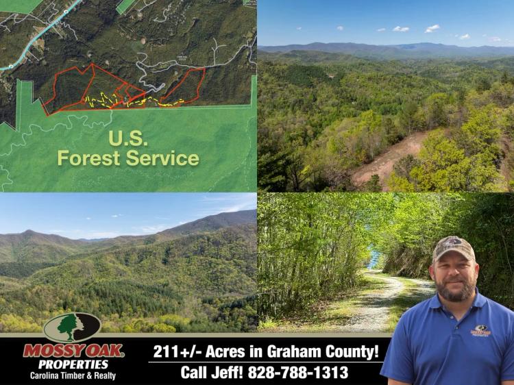 211+/- Acres Bordered by U.S. Forest Service!