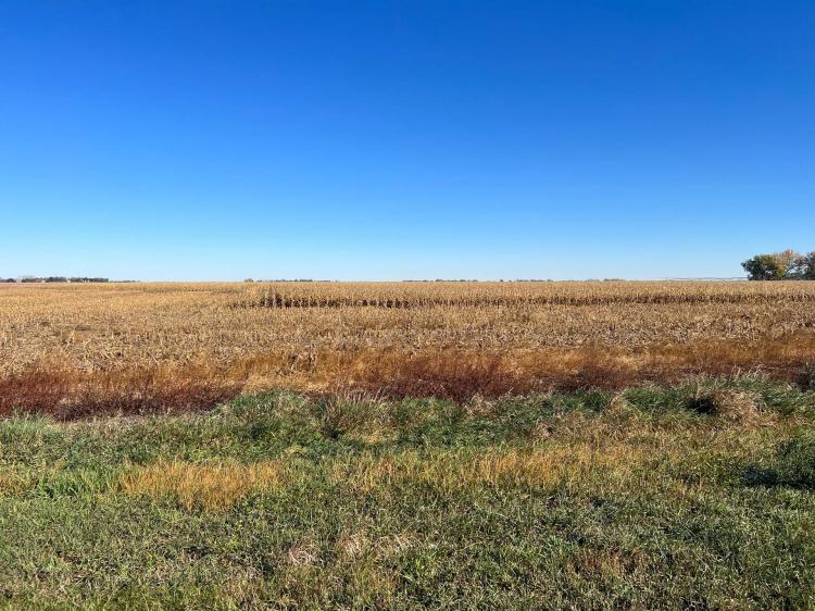 81 Acres, Clay County &#8211; Clay County Pivot