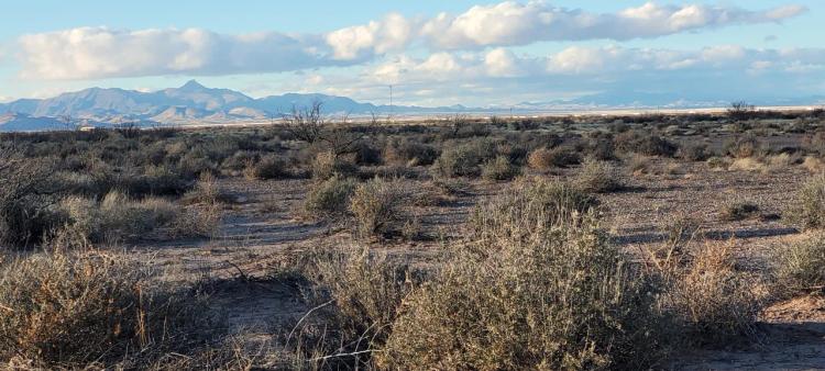 1/2 acre only $900 - Sunny New Mexico - Star filled nights