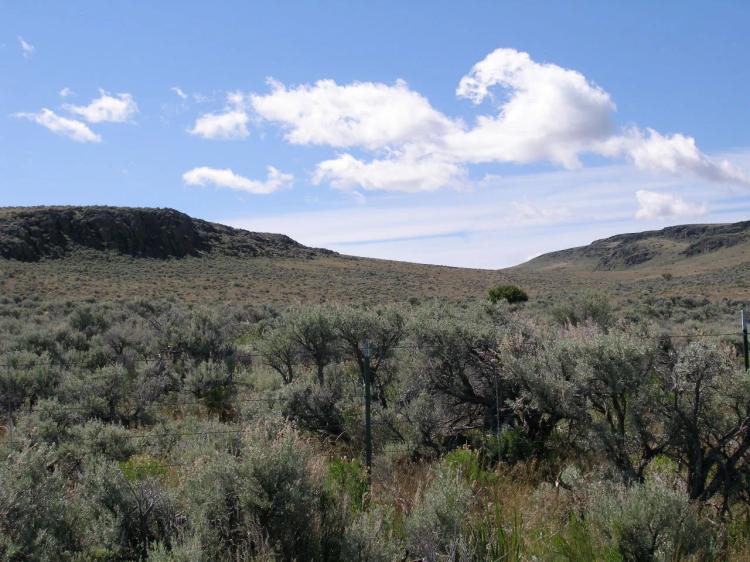 80 acres Oregon Outback * Remote * Secluded *