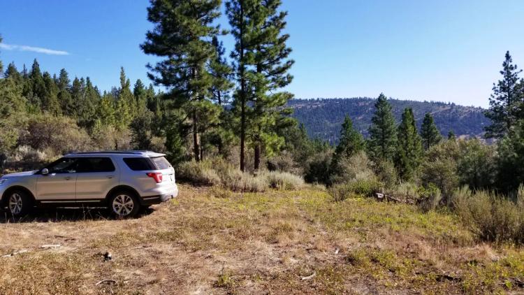 10 acres of Oregon Forest Land on Hill with Incredible Views