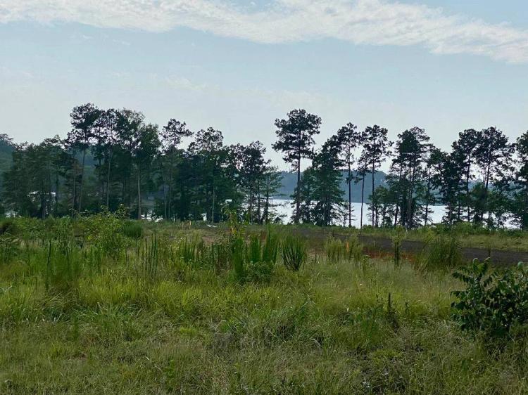 0.63 Acres at 15 Driftwood Drive