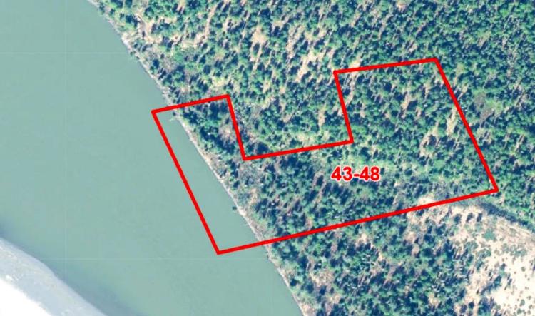Yentna River Frontage - 17 + Acres - Trees - Extremely Remote