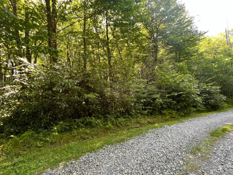 0.87 Acres at TBD Tanglewood Cemetery Road