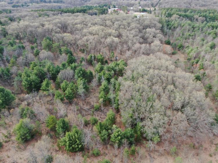 36-acre hunting and recreational property Waushara Cty