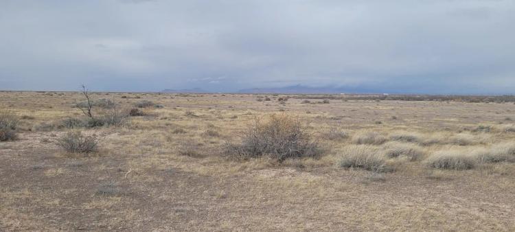 Southern New Mexico Desert - 4 adjoining lots - 2 acres