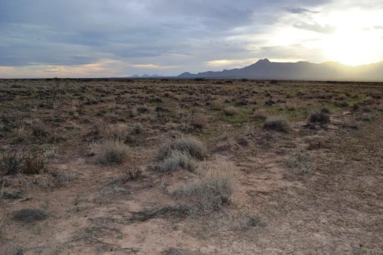 Southern New Mexico - 4 adjoining lots with distant mountain views