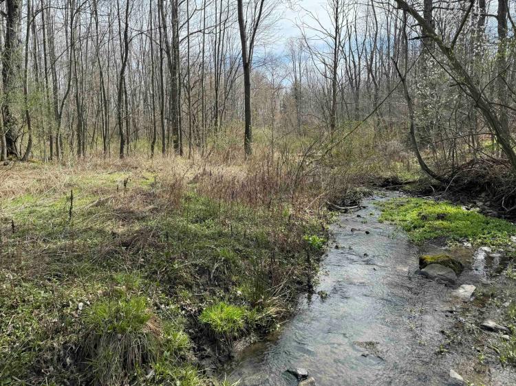 6 acre Building Lot and Recreational Land with Creek in Grove NY CR15B