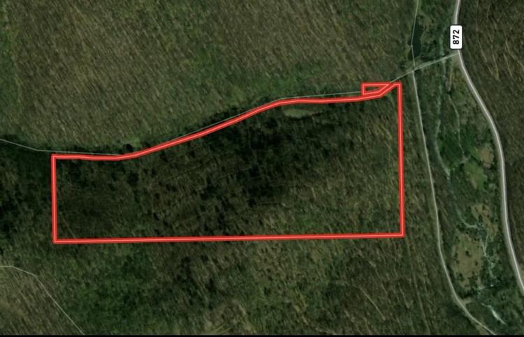 POTTER COUNTY - 61 +/- ACRES - STATE RD 872 / Jones Run Rd