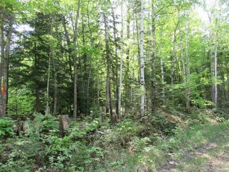 Remote Wooded 119 Acres 50117611