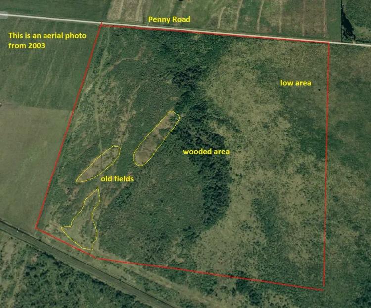 File 16ES - 158.75 acres on Penny Road in Morley Twp in Rainy River District