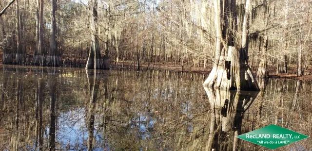 58.7 ac - Wooded Recreational Tract Along Neches River