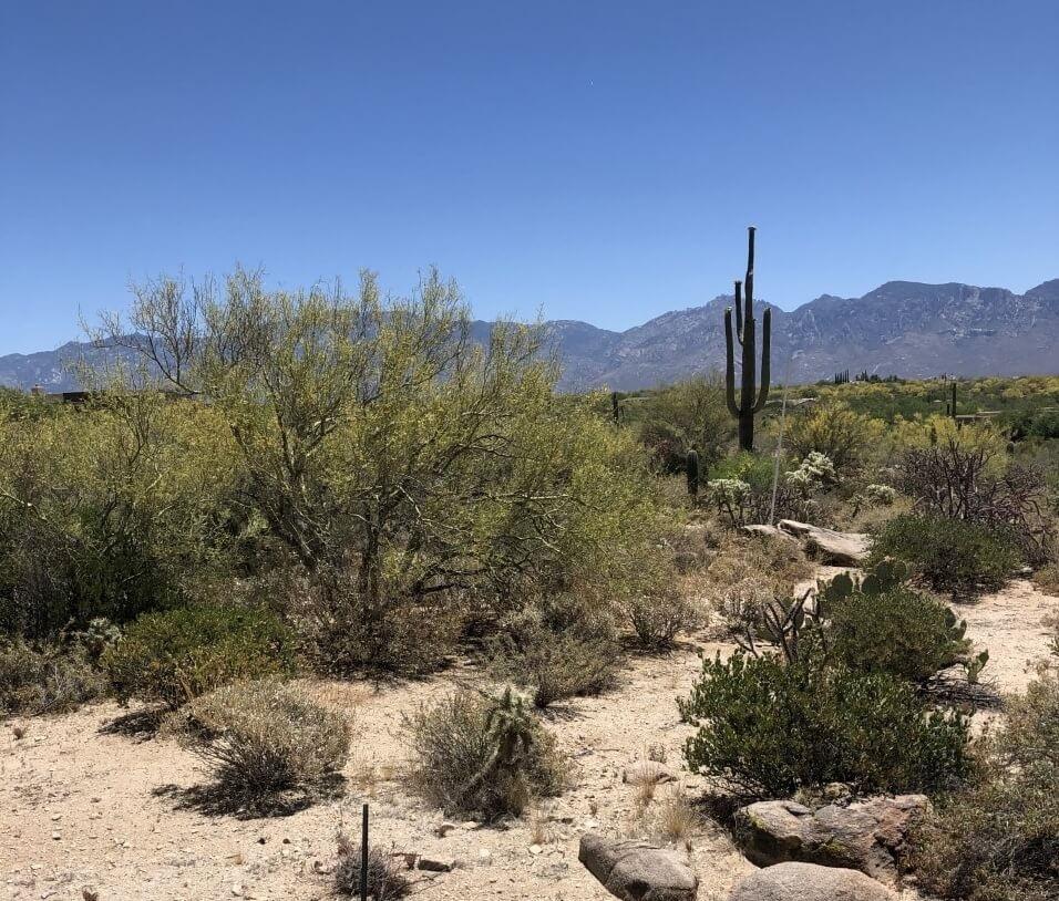 in the market for a missile silo? head to arizona