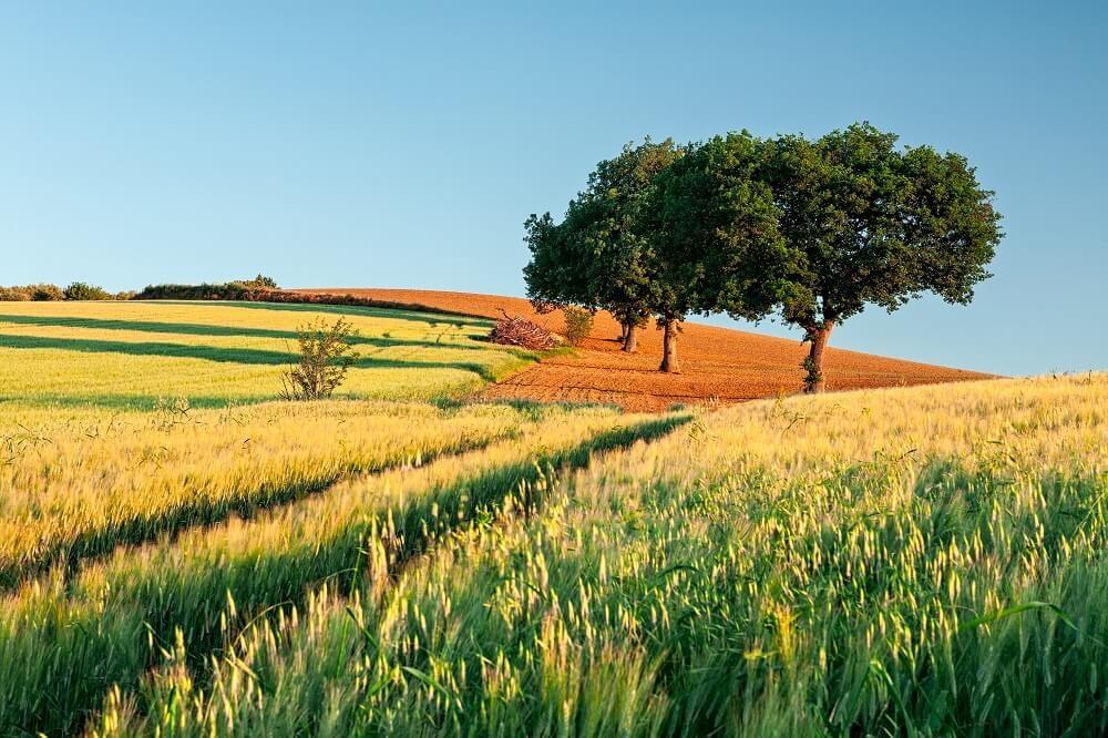 selling land trends for 2021 and beyond