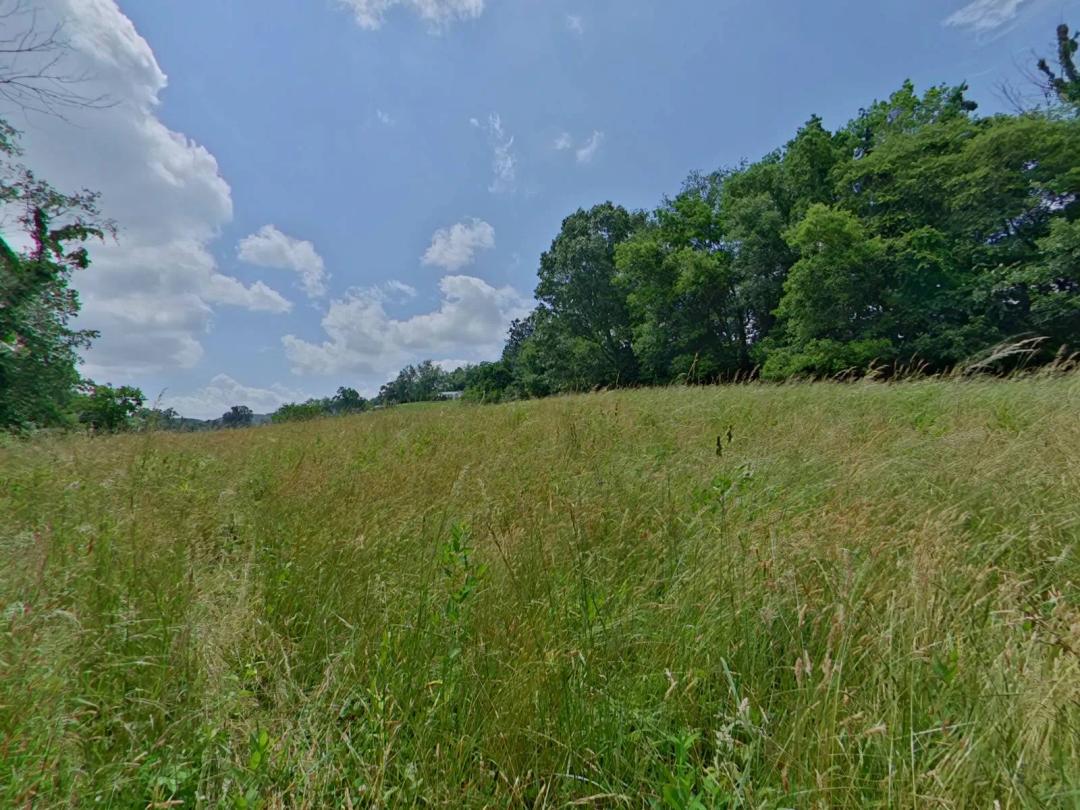 Fantastic Building Lot with Privacy in the County!