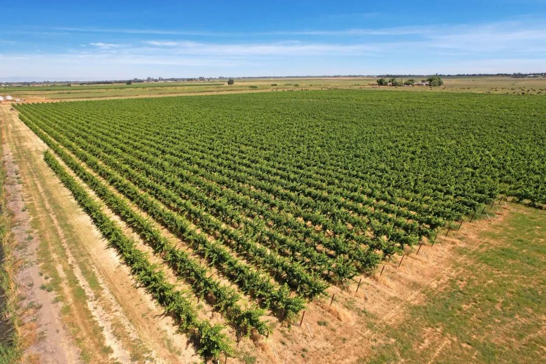Incredible 128+/- acre opportunity just outside Walnut Grove, CA.