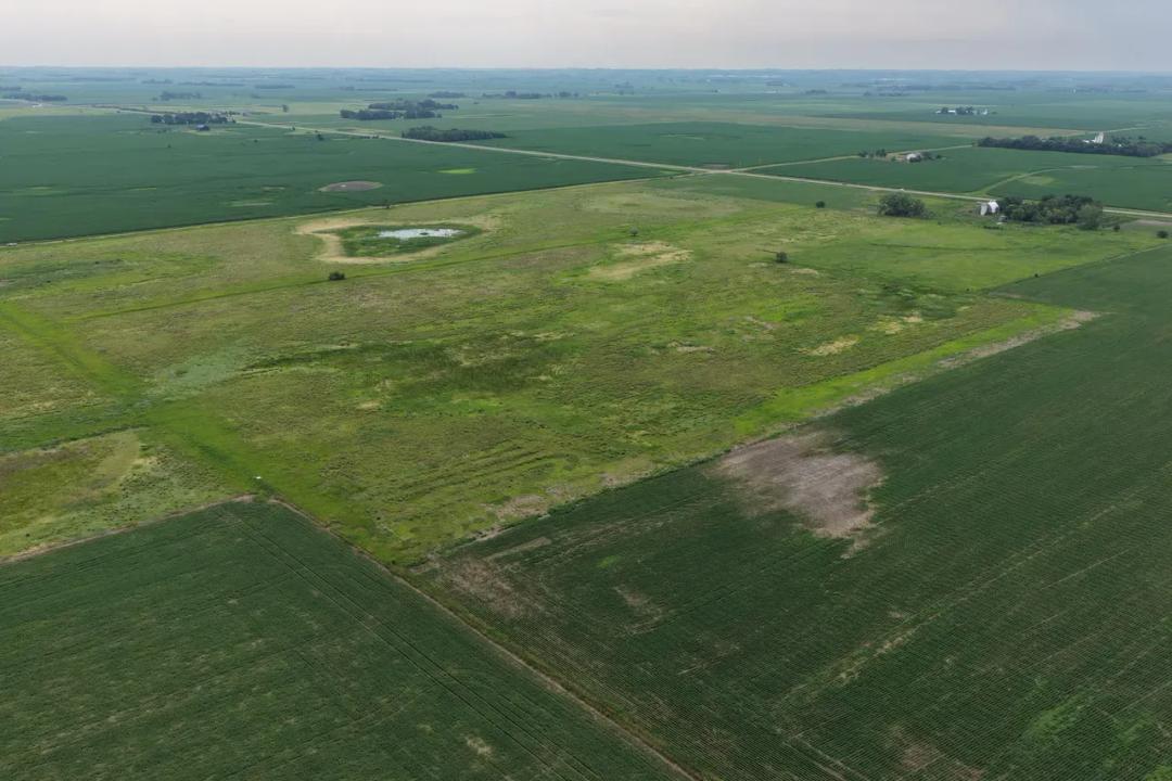 Turner County, SD 87.75 Acres