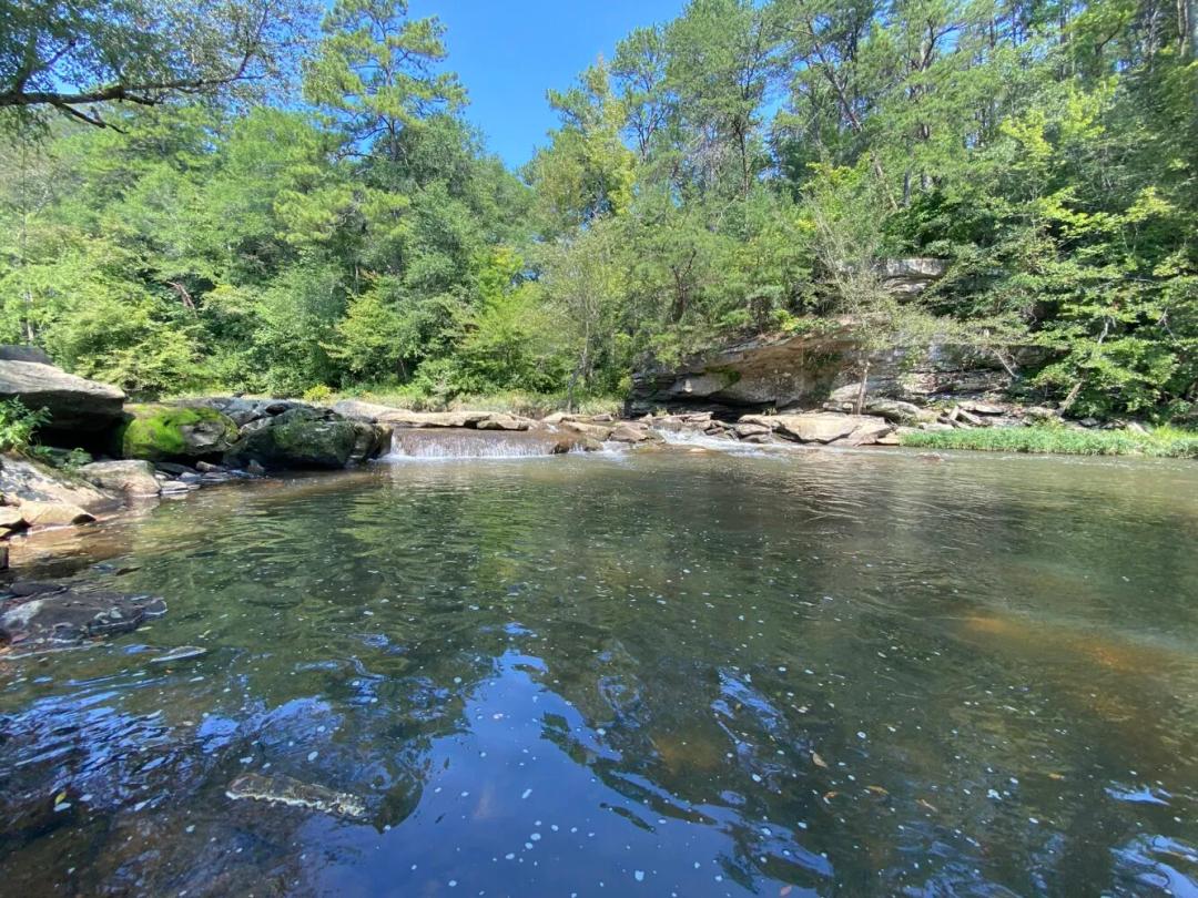 1.77 Acres at 0 Bluegrass Lane