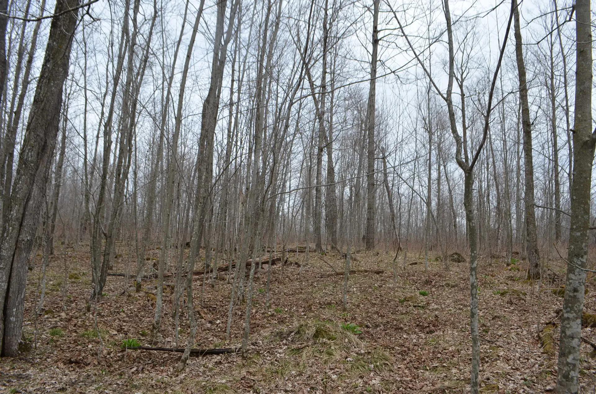 10093232-30