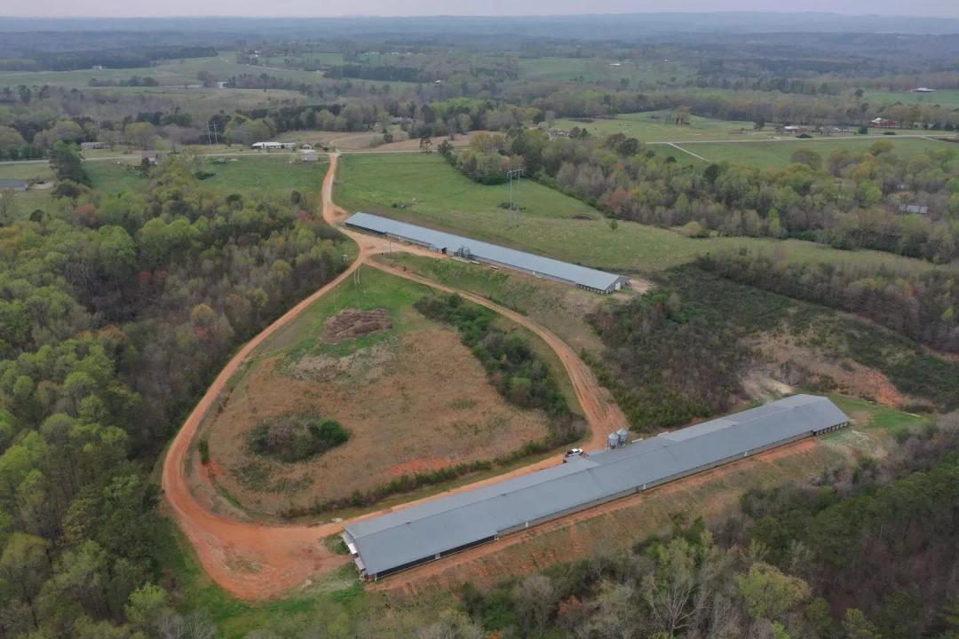 Meadow Hill MEGA - Two House Farm in Randolph Co., Alabama
