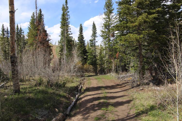 Independence Mountain 40