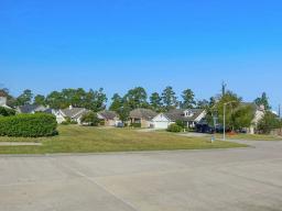 img_2075_briargrove_d