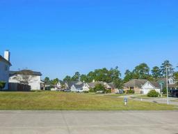 img_2075_briargrove_e