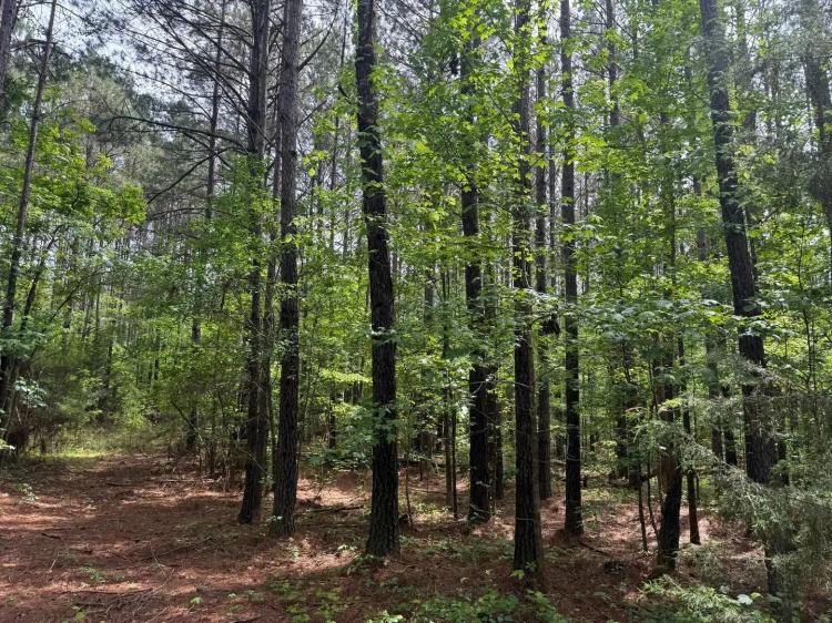 12.5 +/- ac Dudleyville Rd