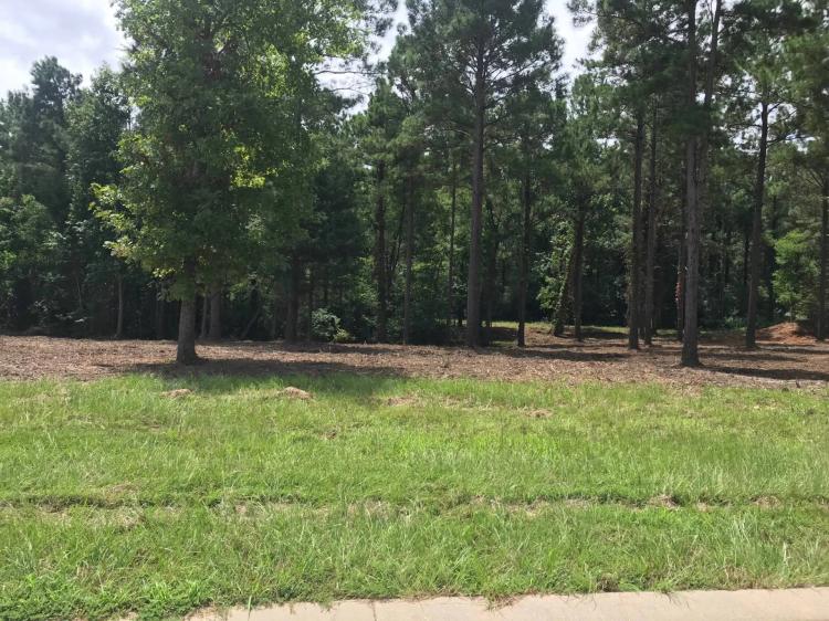 0.76 Acres at 0 Old Sabine Town Road