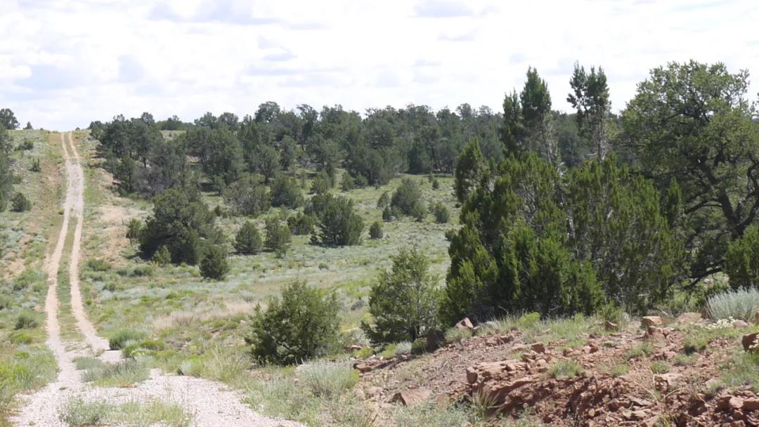Camp - RV - Build - Pine Meadows Ranch - Near El Morro National Monument