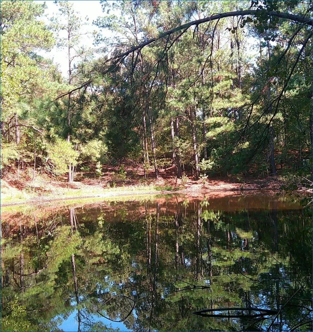 60 Acres in Panola County in Batesville, MS