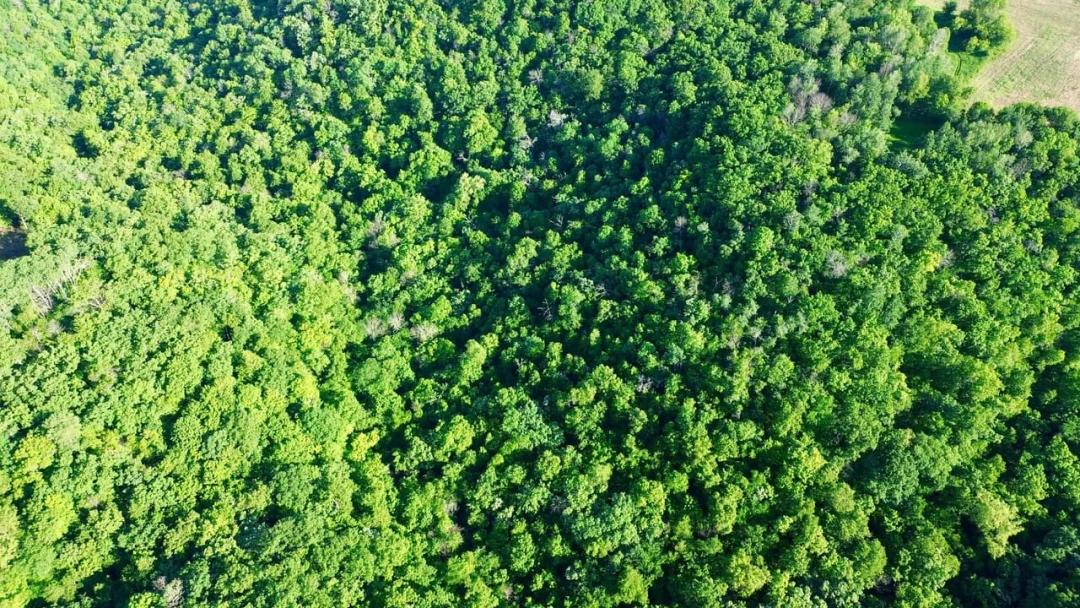 15 Serene Acres in Rural Pierce County