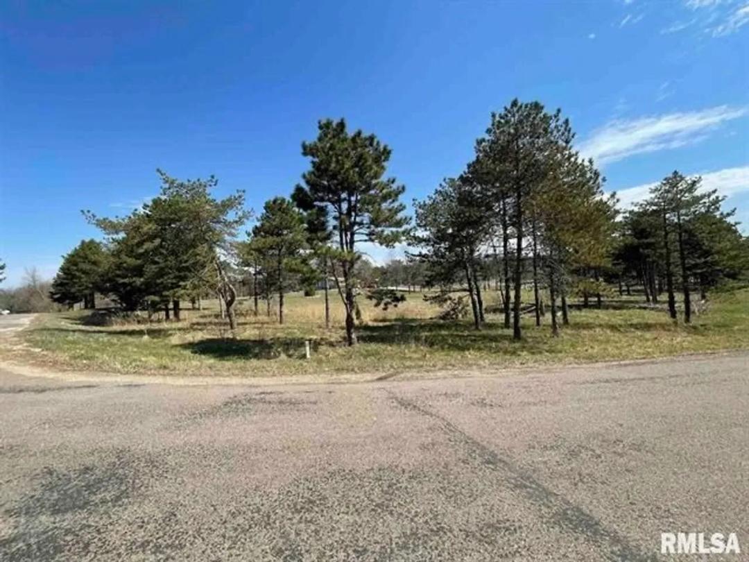 0 Edgewood Dr- Manito, IL