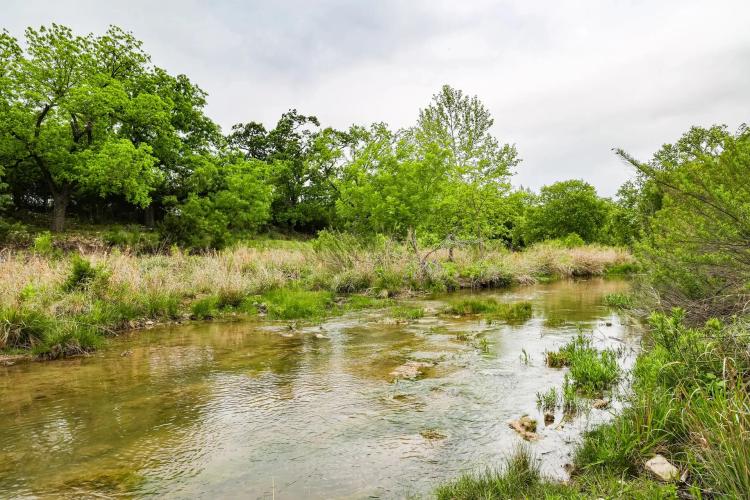 35 Acres on North Llano River