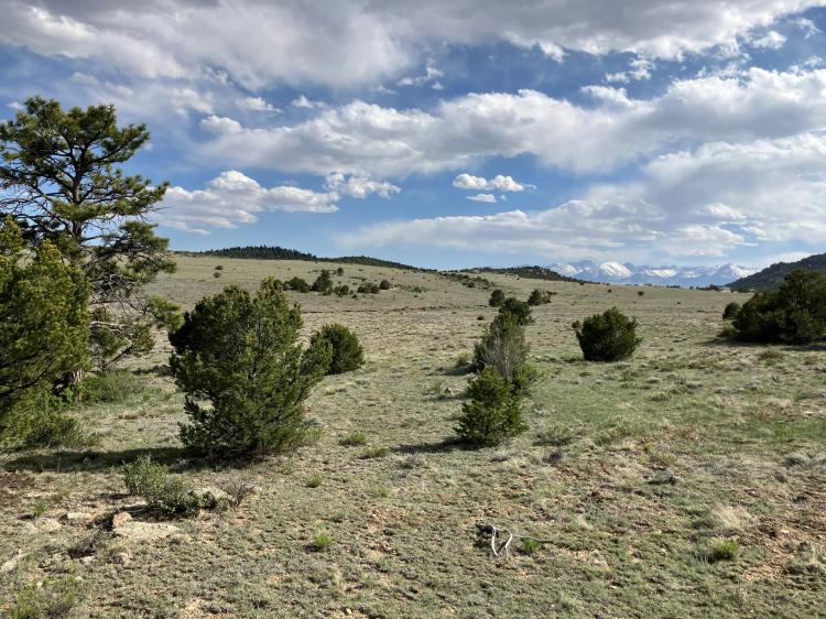 Riggs Mesa