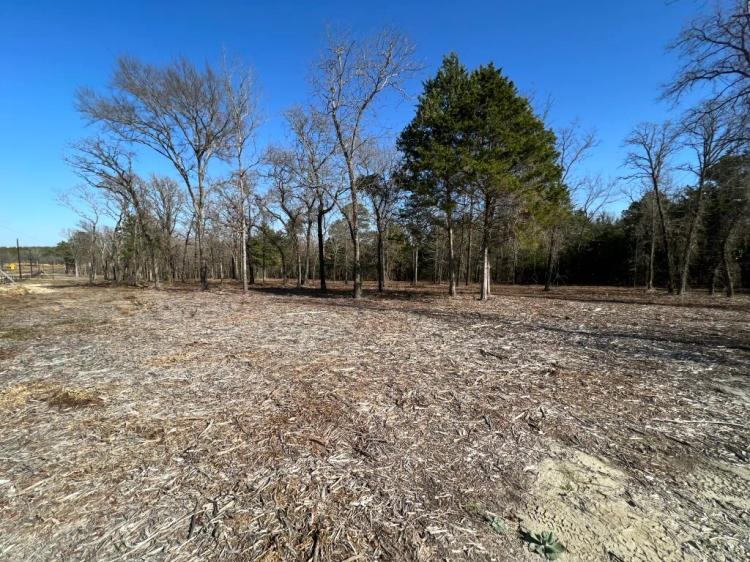 East TX Land for Sale Lindale TX Small Acreage Lot 4