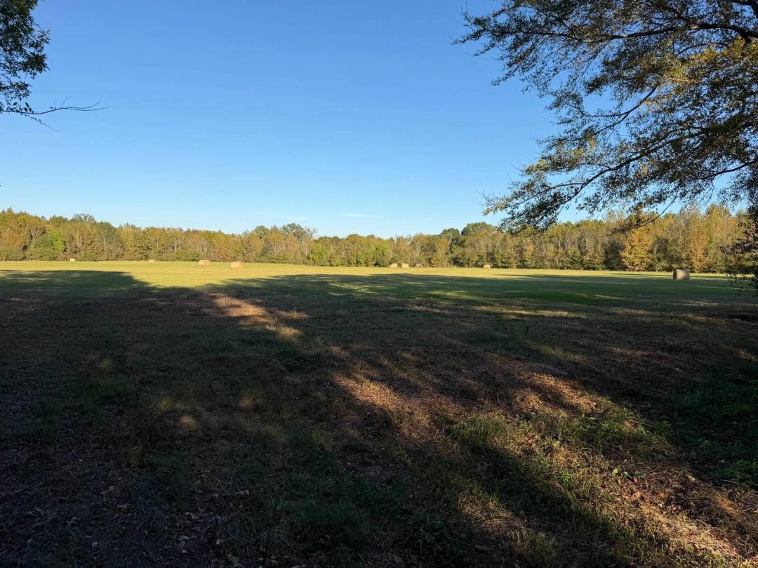 Beautiful Land with Timber in Newton County