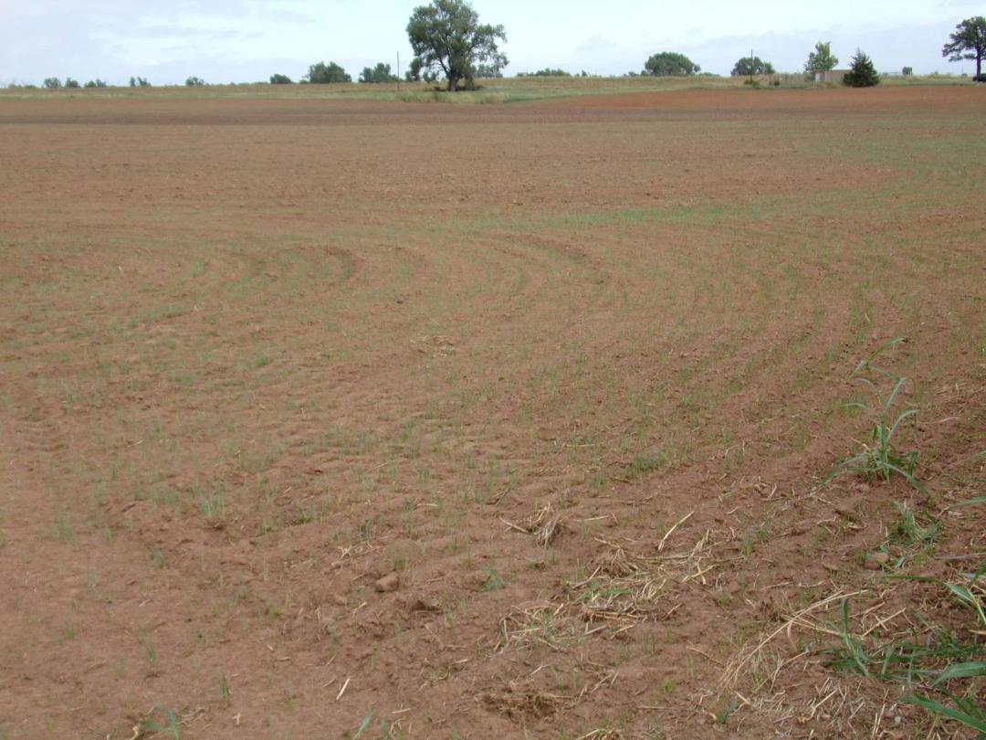 29.1± Acres 4 Lane Crossover, North Side of Highway 412