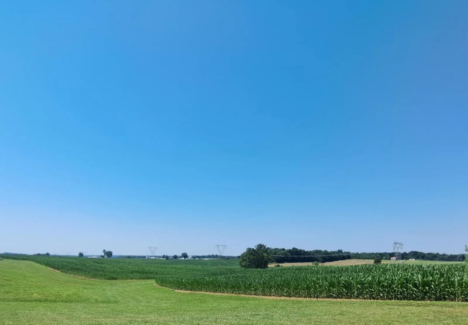 10363371-3