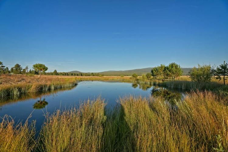 Jackson Creek Ranch