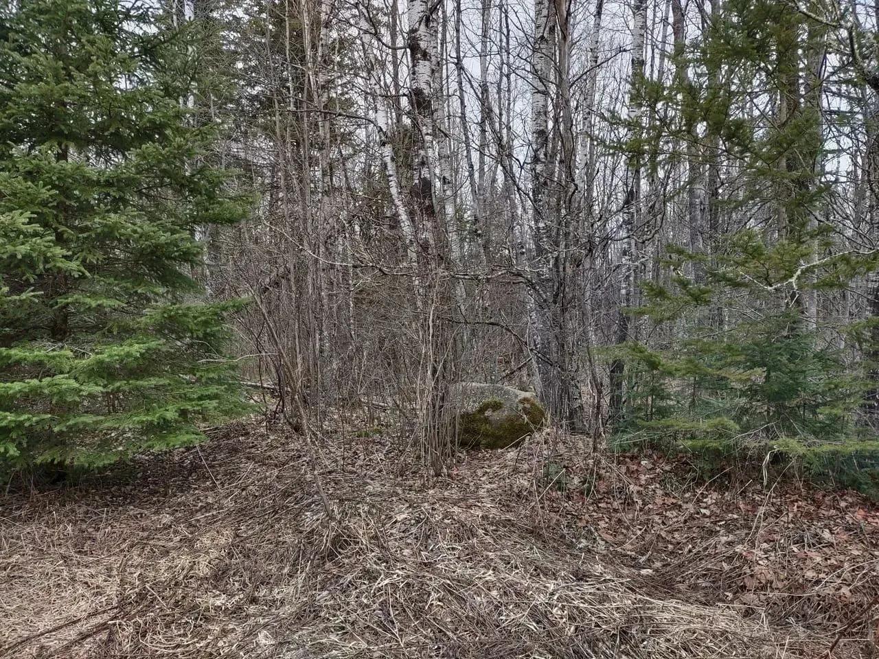 10396210-2